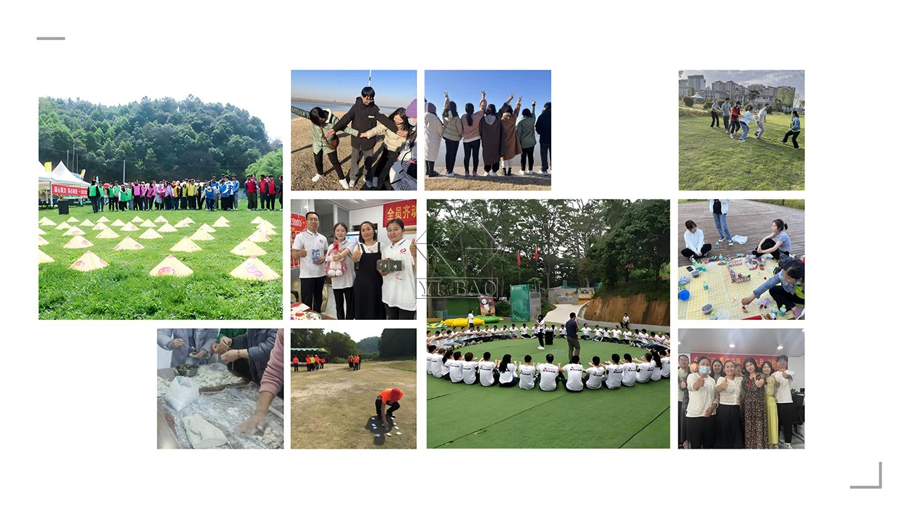 HENAN YIBAO HENAN YIBAO